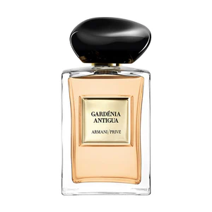 Логотип товару Armani Prive Gardenia Antigua – схожий товар