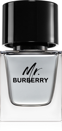 Логотип товару Burberry Mr. Burberry – схожий товар